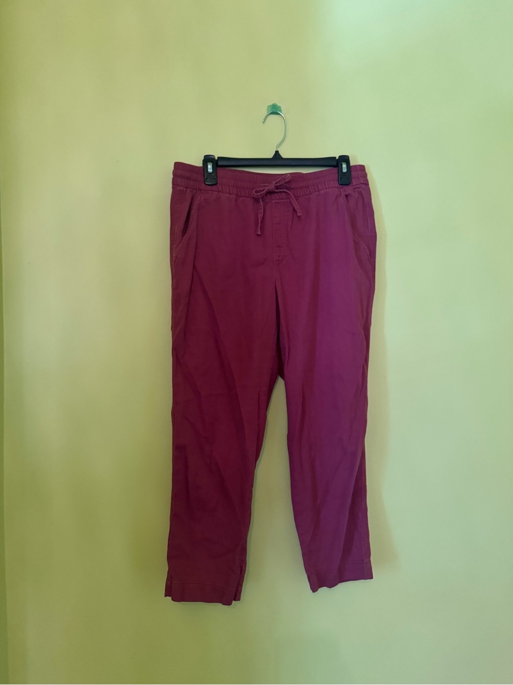 Gap chino burgundy ankle length pants